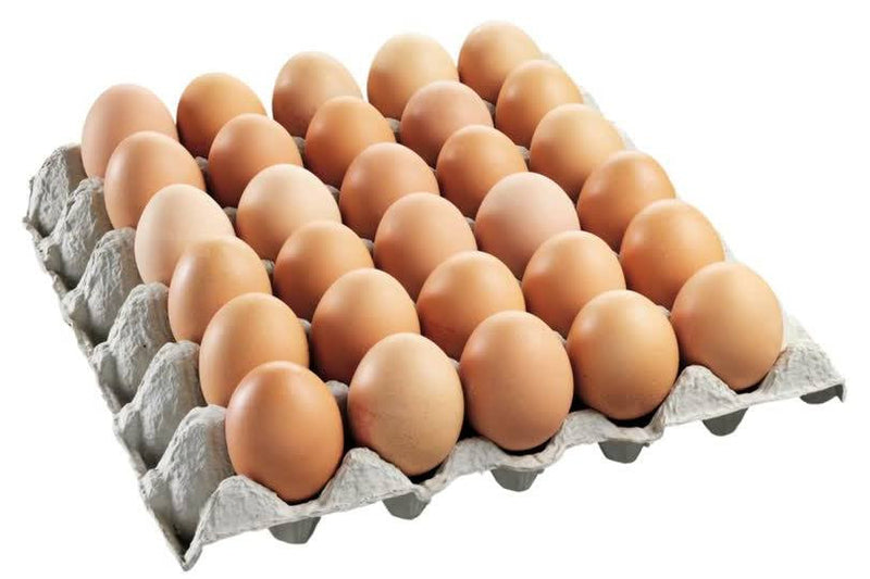 Egg Tray "30 Cell"
