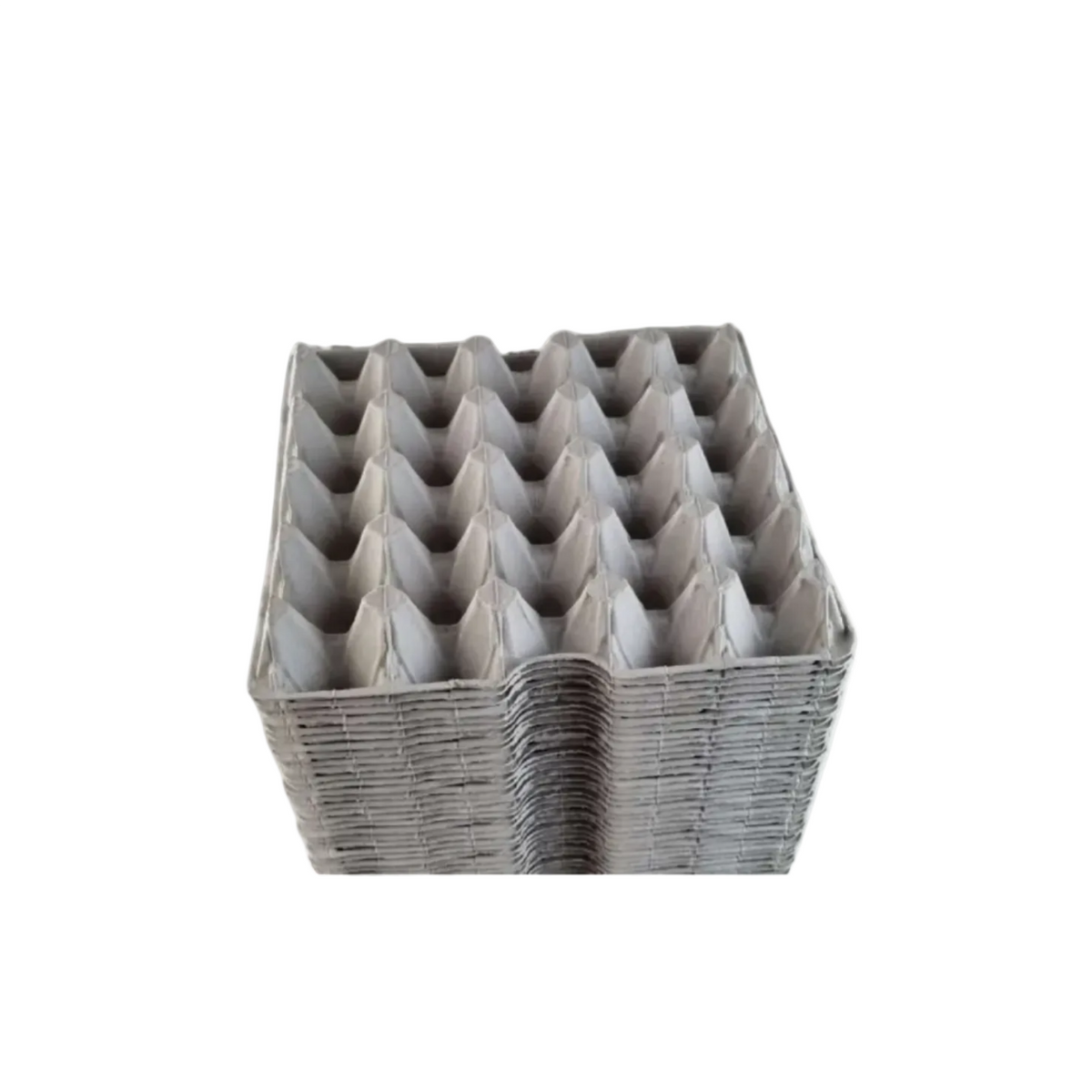 Egg Tray 