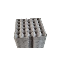Egg Tray 