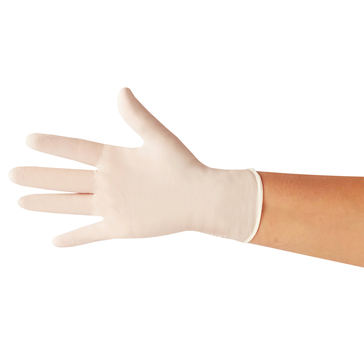 Latex Gloves Powder Free