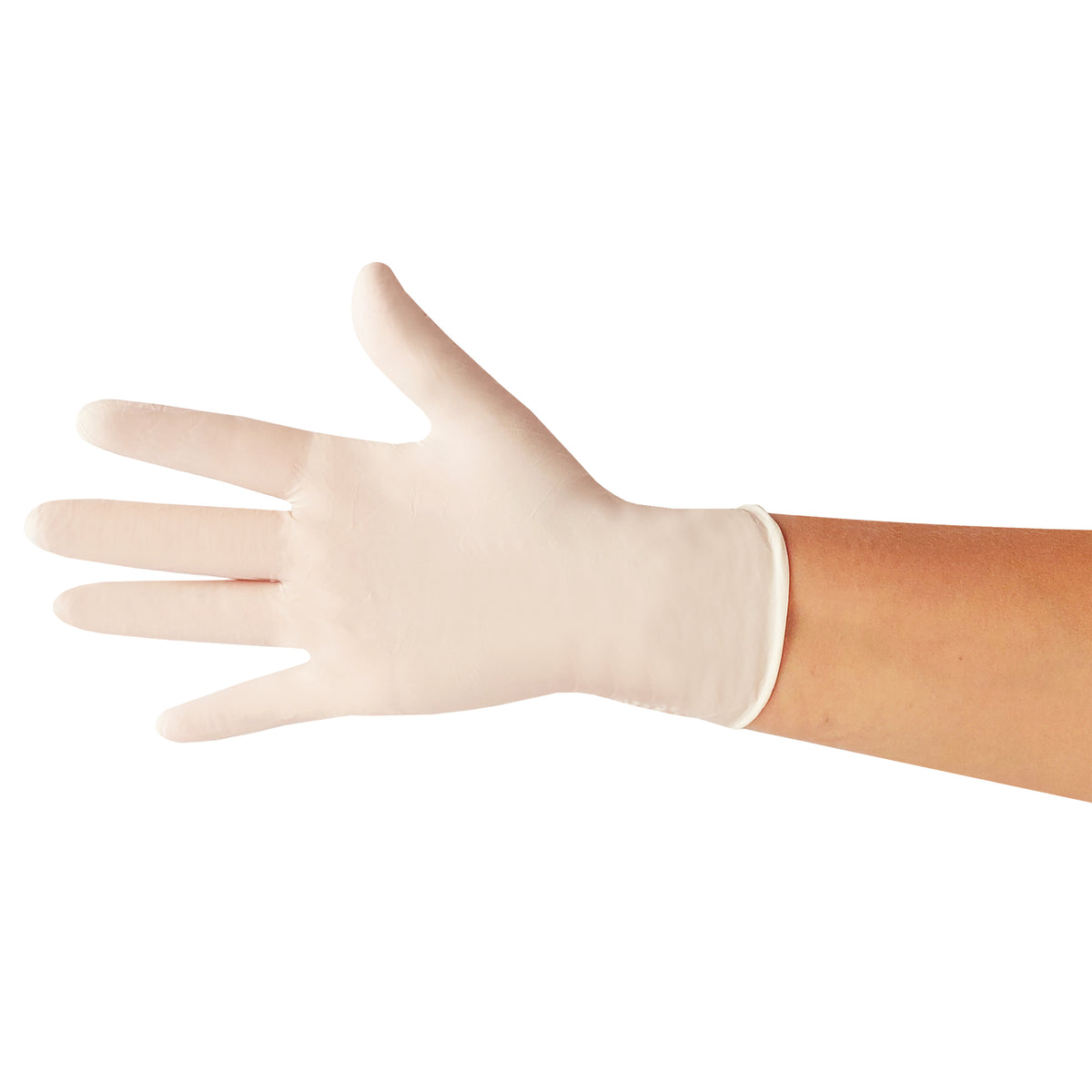 Latex Gloves Powder Free
