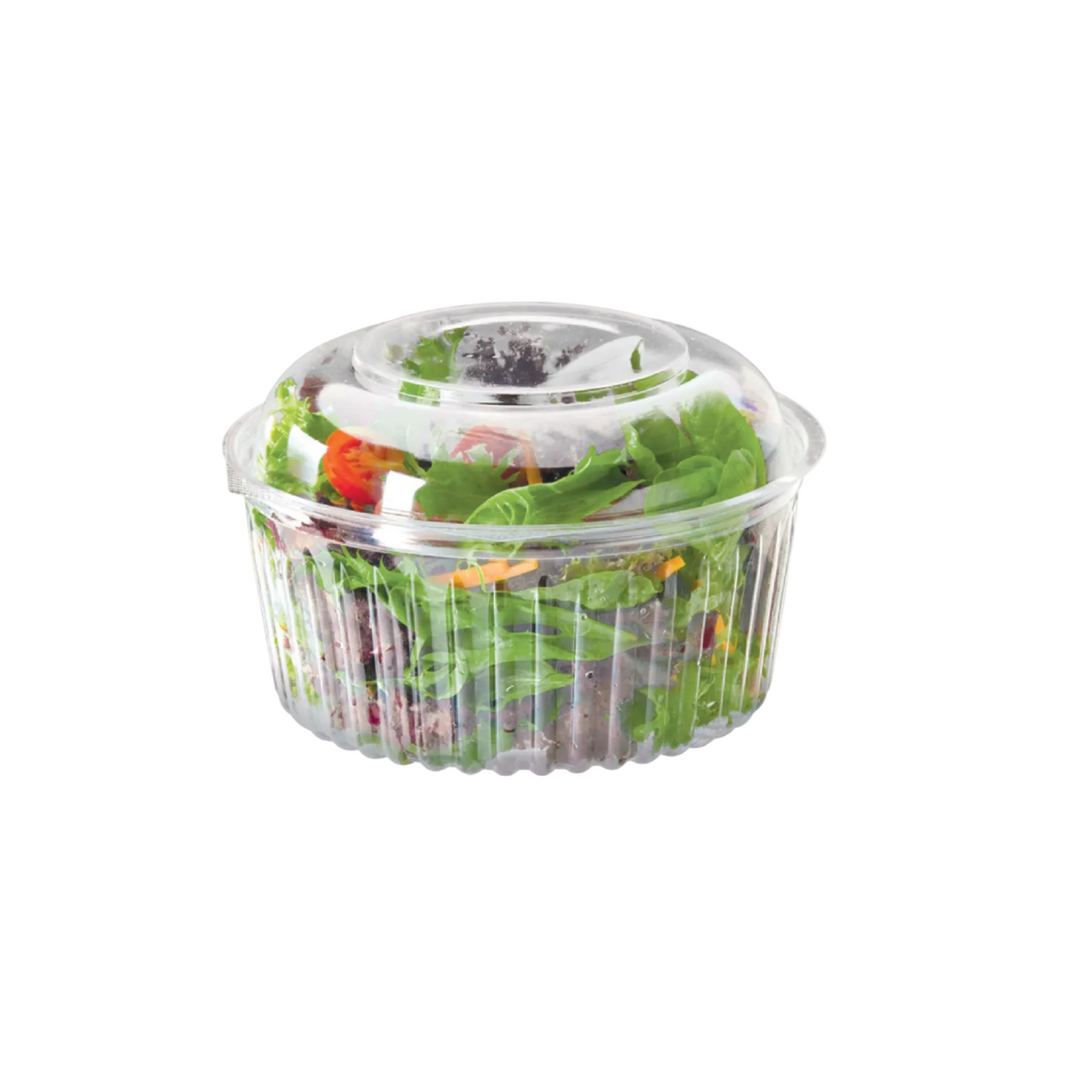 Eco-Smart Food Bowl w/ Dome Lid