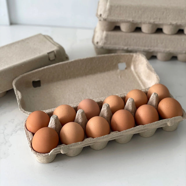 Egg Carton "12 Cell"