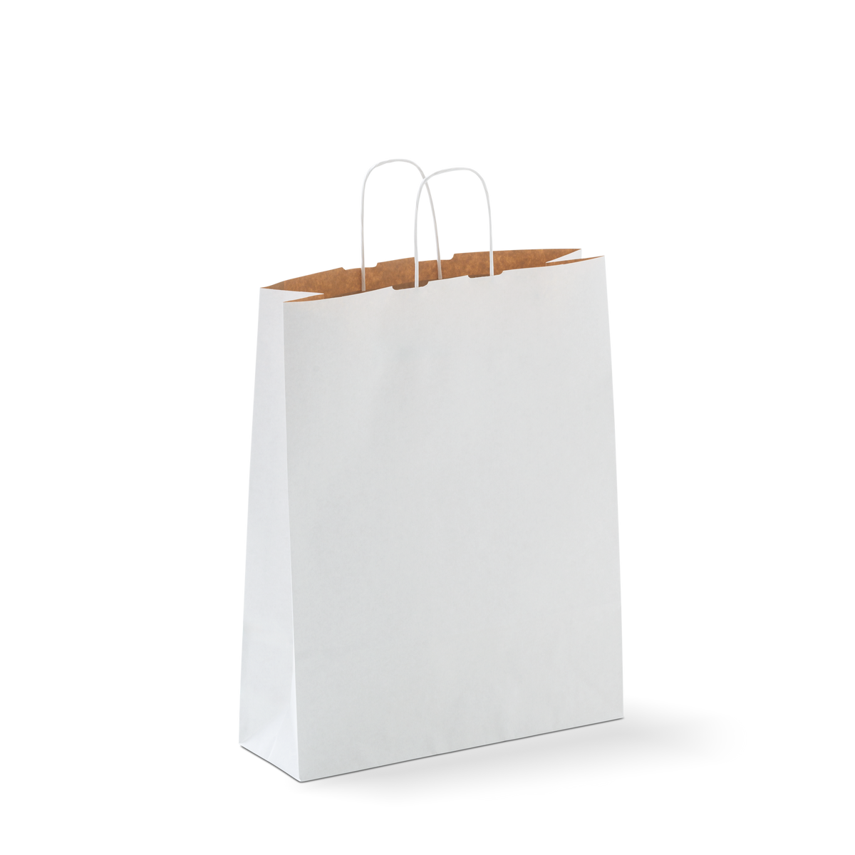 Carry Bag #22 Large