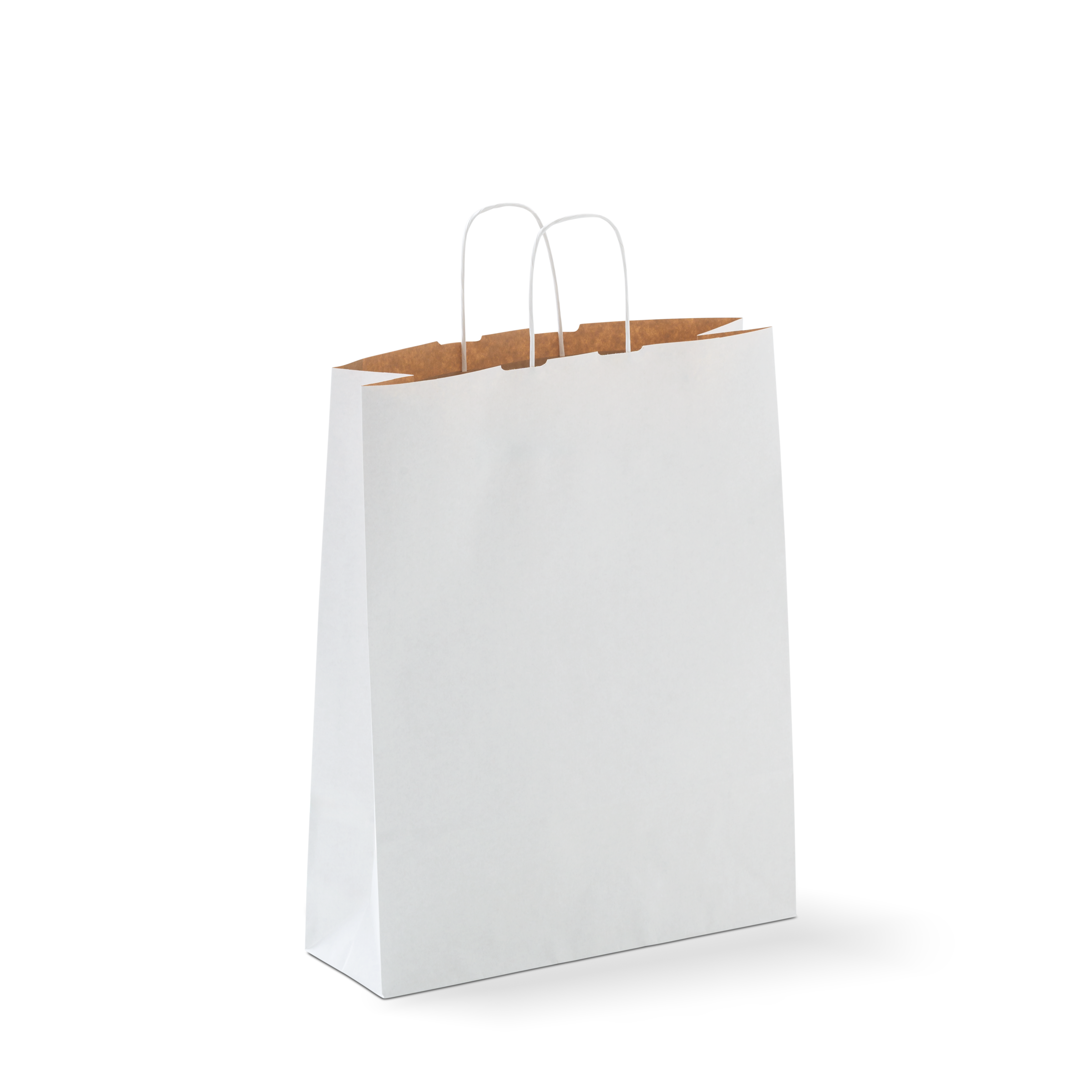 Carry Bag #22 Large