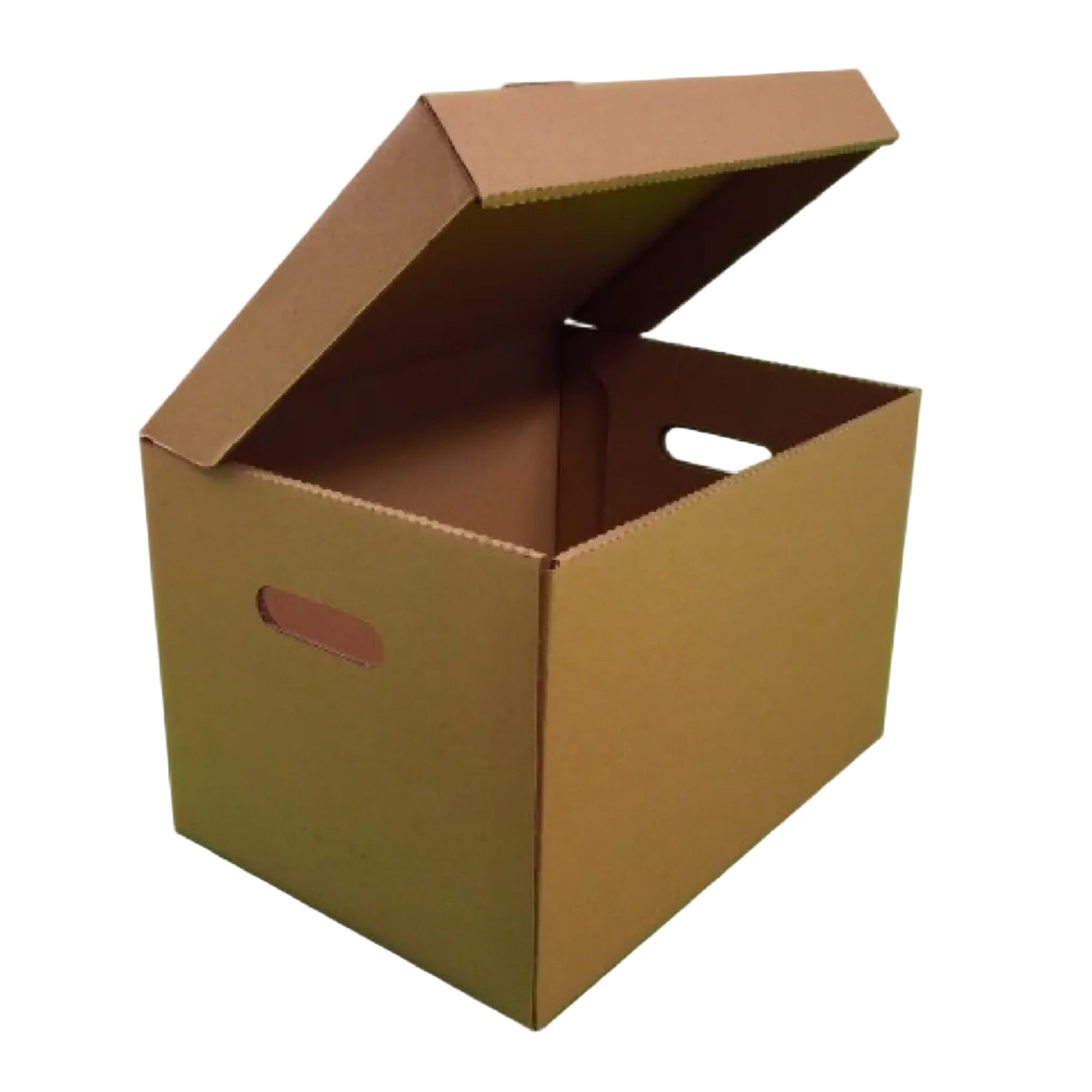 Archive File Box 