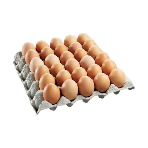 Egg Tray 