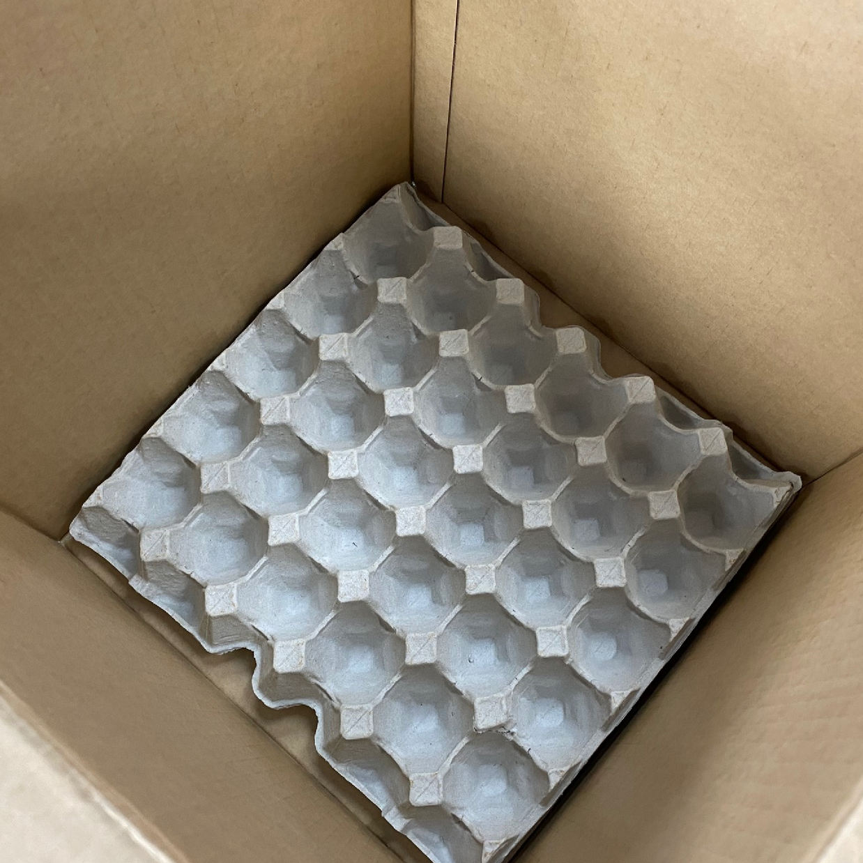 Egg Boxes