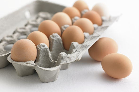 Egg Carton "12 Cell"