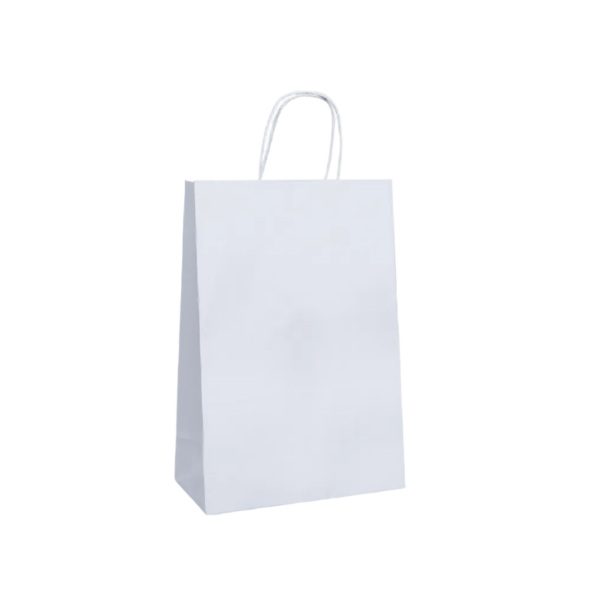 Carry Bag #16 Medium Paris