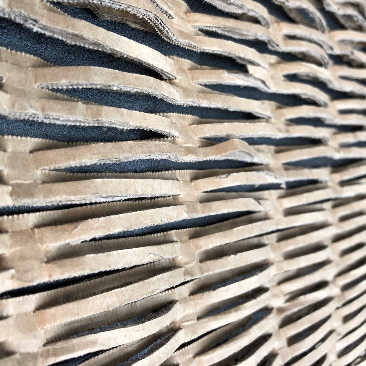Shredded Cardboard 4kg Bundle